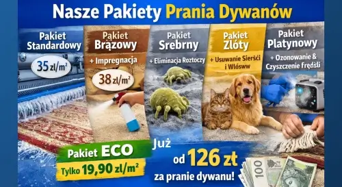 Ile kosztuje pranie dywanu